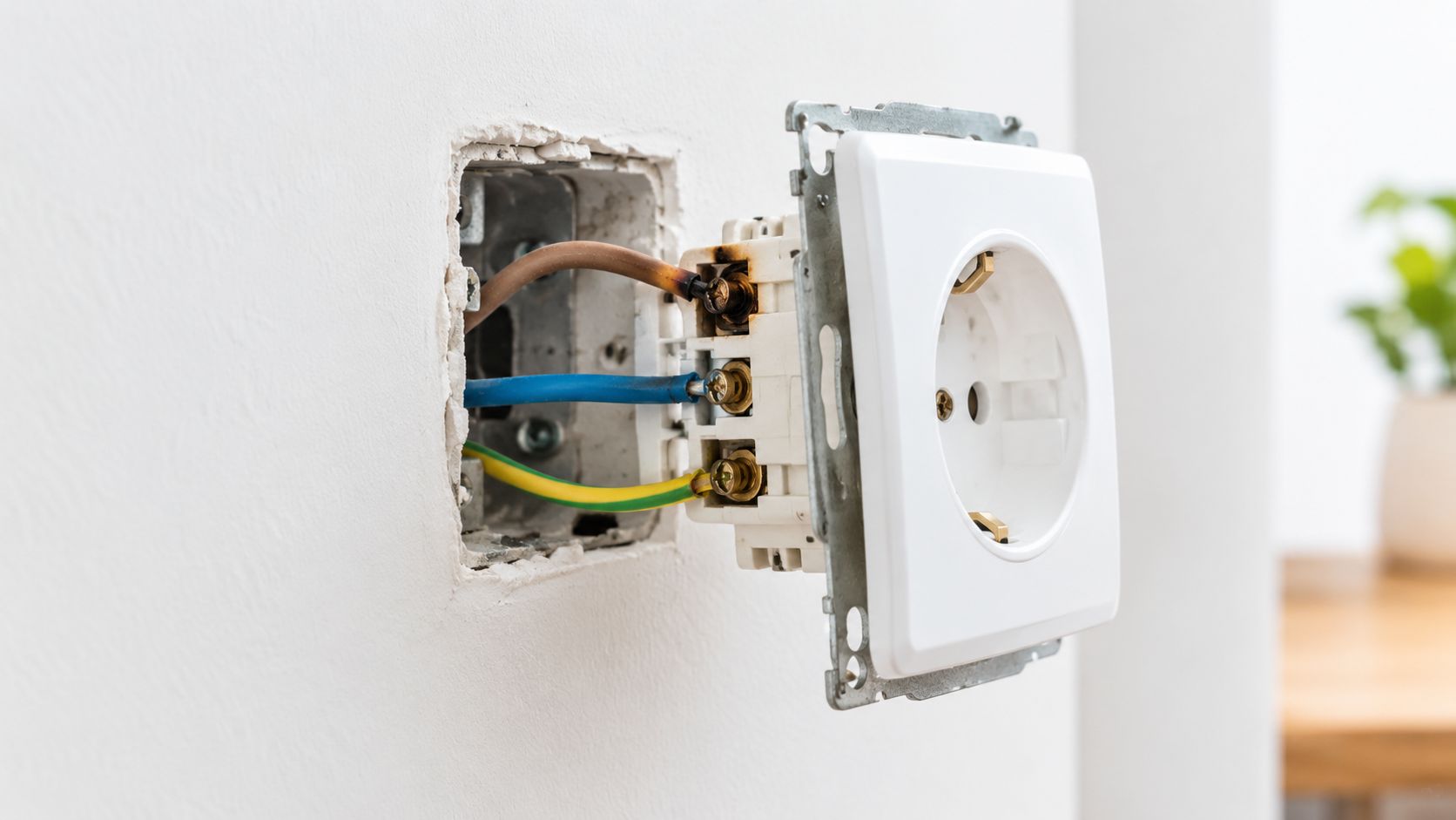 En elektrisk stikkontakt med en brændt ledning, der er trukket ud af væggen til reparation eller udskiftning.